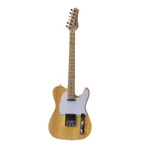 Palmer T-Style Electric Guitar