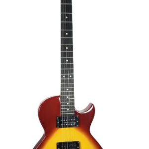 Palmer PE-LPS Electric Guitar Standard Series