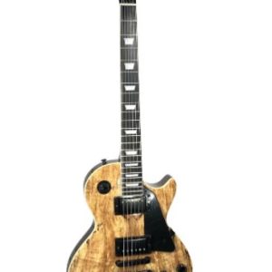 Palmer LP Custom Electric Guitar