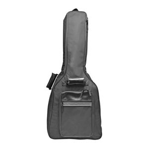 PM-110 Deluxe Thick Padded Dreadnaught Bag